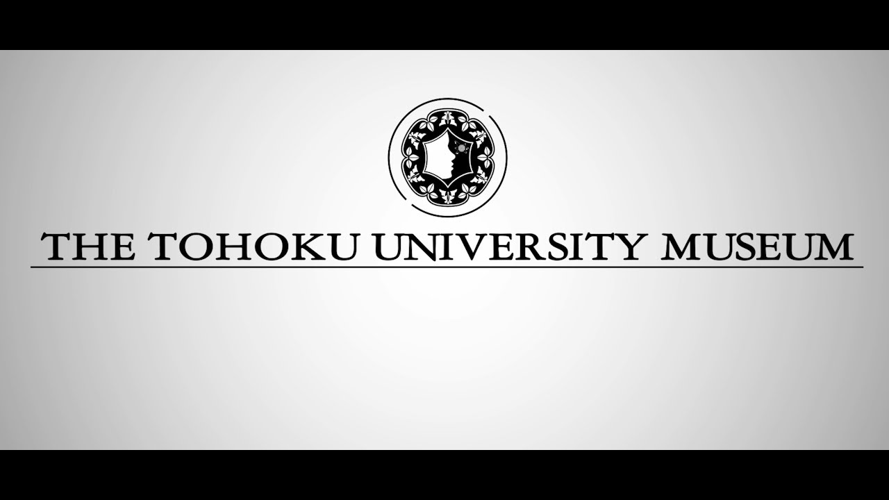 Catch a glimpse of exhibits at Tohoku University Museum of Natural History.