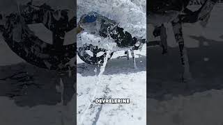 O gerçek değildir dimi