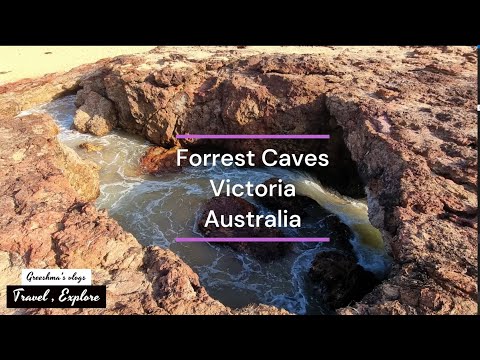 vlogs 2023 | Greeshma Nair