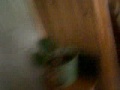 101 1248 Mov