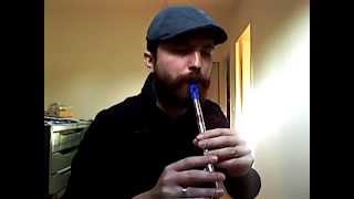 Eluveitie Ne Regv Na Tin Whistle Tutorial Cover