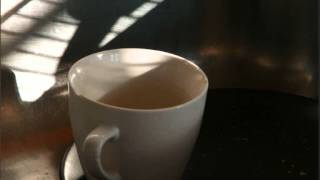 José Afonso - "Era um redondo vocábulo" do disco LP "Venham mais Cinco"  (1973)