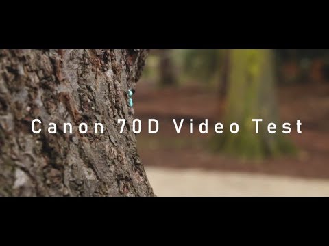 Canon 70D video test (50fps 720p)