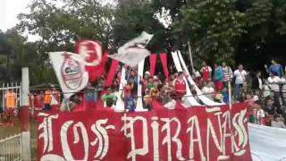 Los pirañas - temon la gitana