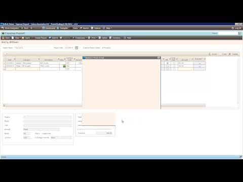 Deltek Vision Time Expense Module