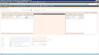 Deltek Vision Time & Expense Module
