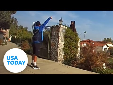 Video captures moment Amazon driver comes face to face with bear