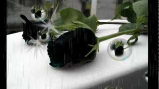 NADIE ES ETERNO EN EL MUNDO ANTONIO AGUILAR.