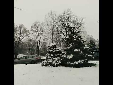 1st SnowFall 2023 @Belgrade #PinoyInSerbia