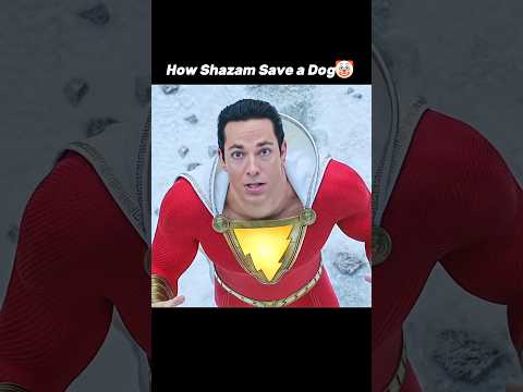Shazam vs Superman💀