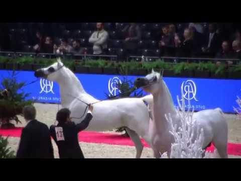 Memories of Paris 2019 - World Championships - Part 16 - Championship - Senior Male