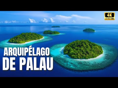 🪸The Blue Sanctuary | Life and Survival on the Reefs | Palau Archipelago - Oceans Documentary🪸