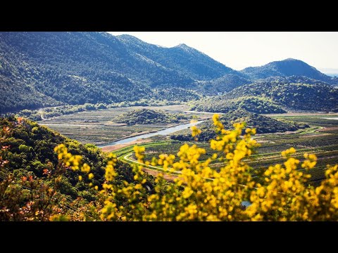 NA RUBU ZNANOSTI: Prvo ilirsko kraljevstvo i gradine donje Neretve