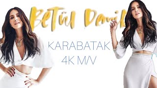 BETÜL DEMİR KARABATAK #betüldemir #cormorant #4k #mv