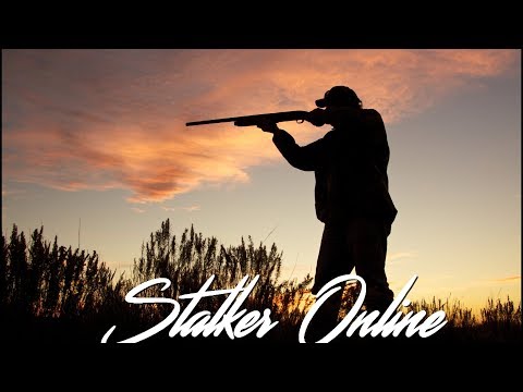 Stalker Online: Сезон охоты