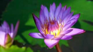 CHILDREN OF THE UNIVERSE....ZEITHA JALAMALA.