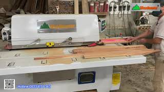 Máy Cưa Rong Cạnh Tải Nặng WM-14F Woodmaster