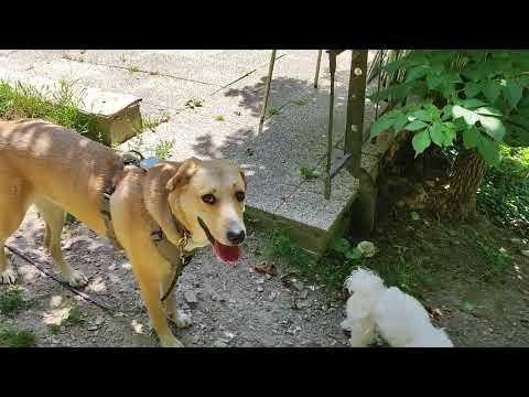 Kommunikation Raum verwalten