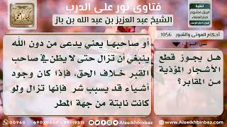 1056 - حكم قطع الأشجار المؤذية في المقابر - نور على الدرب image