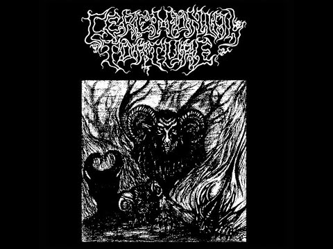 Ceremonial Torture/Reptile Womb (Fin/US)- The Ablaze Of Diabolical Dark Flame/The Sanguimantic Rites
