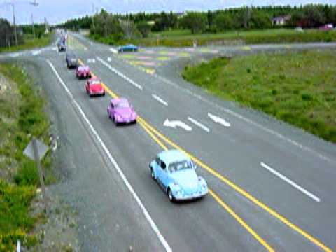 Dub Fest 2003 Cruise