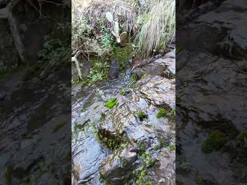 Pequeña cascada entre las sierras de #Lavalleja 🇺🇾