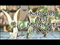 Momos Funniest and Best Moments Part 1
