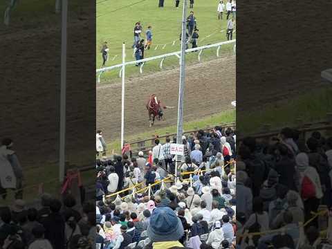 相馬野馬追 甲冑競馬 5走目 放馬発生 馬は捕まり大事に至らず 観客とスタッフがケガで搬送も命に別状無しとのこと