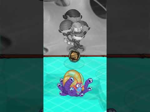 LOWB & BOGLE Comparison! #shorts