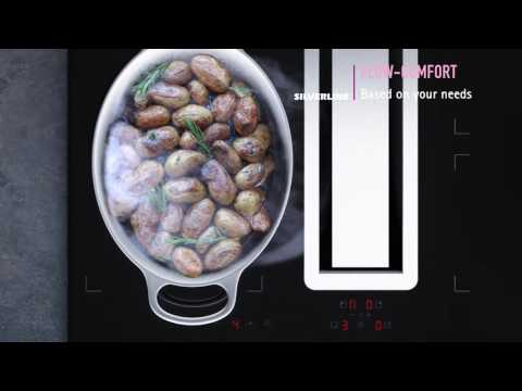 SILVERLINE FLOW-IN - Mainstream English