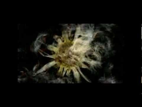 Nikkolas Research - Kelboriseter (Original Mix) [Verboten Records]