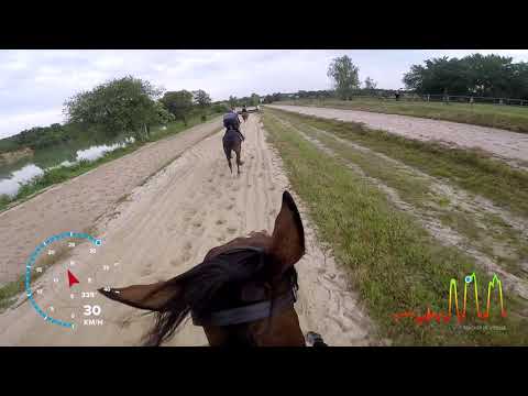 Toujours debout 25-06-2019