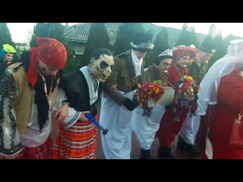 Capra de la Corni Liteni.