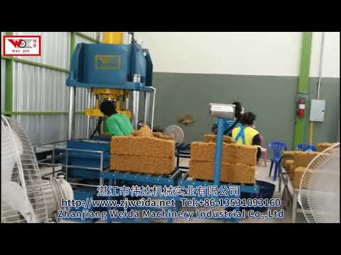 TSR 2T PRODUCTION LINE IN THAILAND