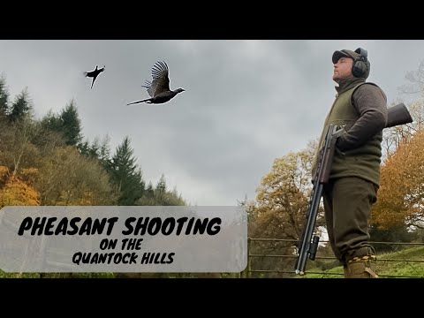Pheasant Shooting | White Pheasant | Driven Birds