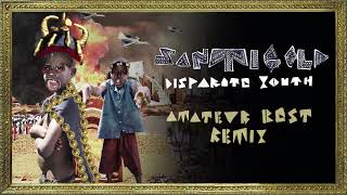 Santigold - Disparate Youth [Amateur Best Remix]