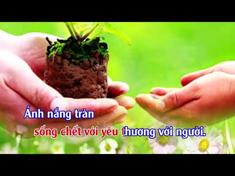 Thắp nến an bình Sheet - Tân Uyên