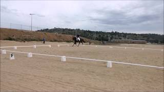 preview picture of video 'Lals Haven Warmbloods - LH Albert Dressage Wagga Wagga 1.2 Prelim'