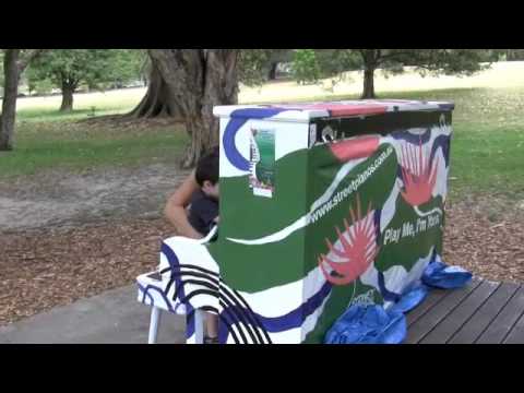 Um Concerto no Parque