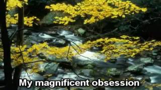 Magnificent Obessesion