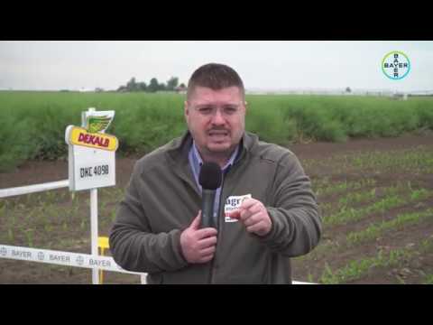 BAYER AGRO ARENA 2020: CIAT IAZU, județul IALOMIȚA