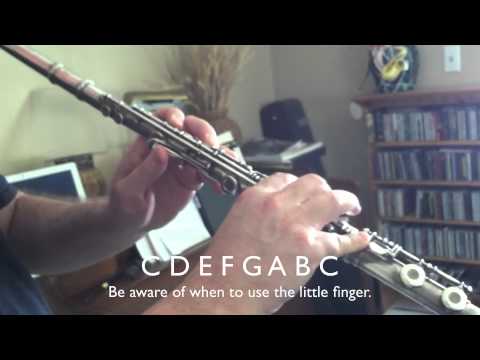 Lesson #3 Flute : with Warren Ham