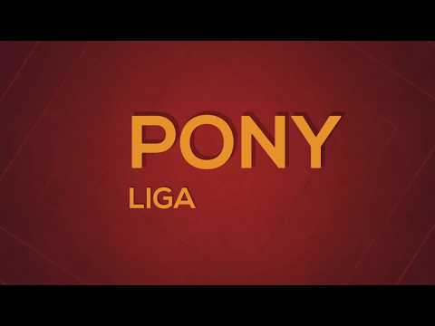 Pony Liga von 13.01.19