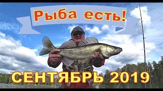 Где лучшая рыбалка в сентябре на спиннинг