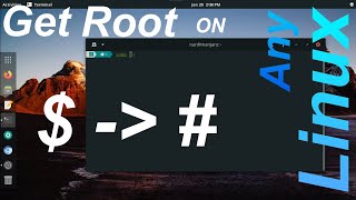 Set Terminal Root "#" as default on Any Linux 🥱😎