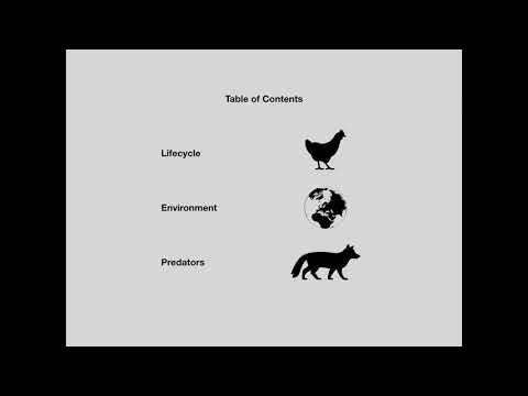 Interactive Table Of Contents