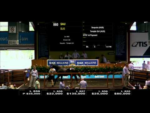 2016 Gold Coast Yearling Sale - Day 5 - Full Sale