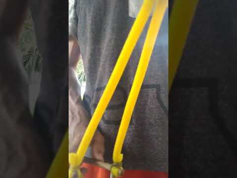 Fazendo baladeira bem raiz ...vida no sítio é assim !!!