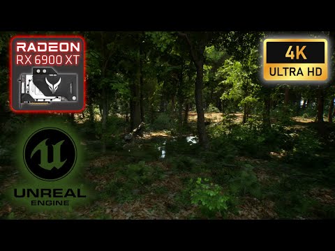 MAWI Broadleaf Forest | Unreal Engine 5 | 4k | 6900 XT | R9 5950x