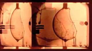 Meat Beat Manifesto -  'Quietus'